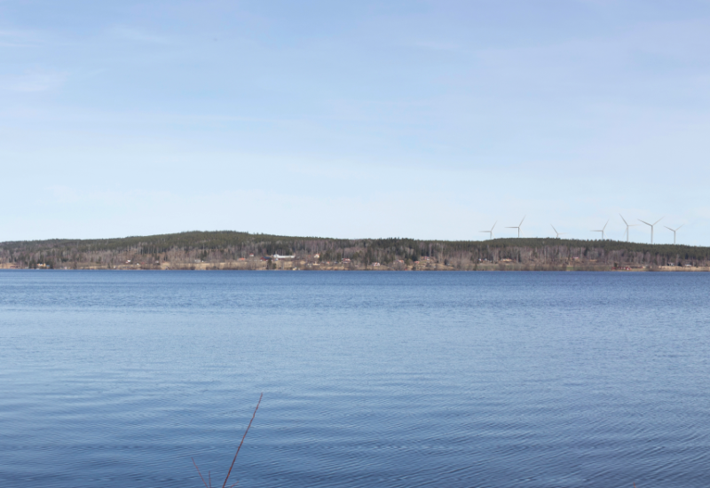 Älgfallet Nora strandpromenad