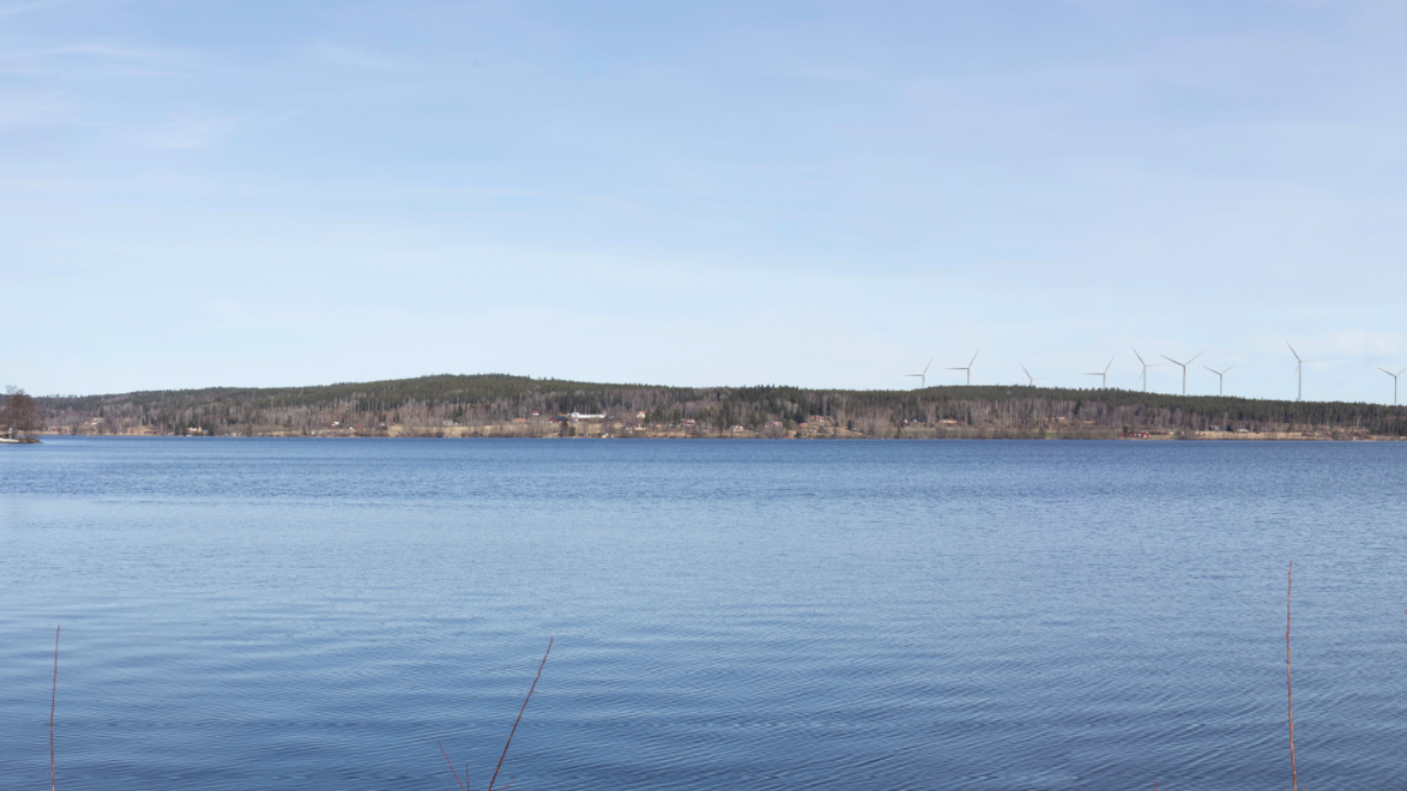 Älgfallet Nora strandpromenad