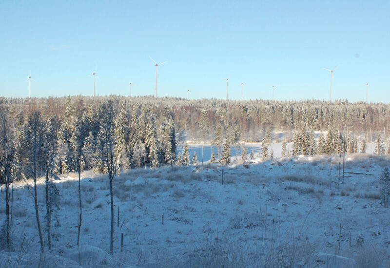 Sattervallen Bottsviken höjden